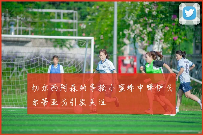 切尔西阿森纳争抢小蜜蜂中锋伊戈尔蒂亚戈引发关注